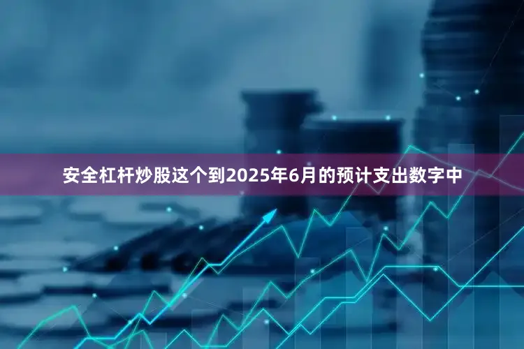 安全杠杆炒股这个到2025年6月的预计支出数字中