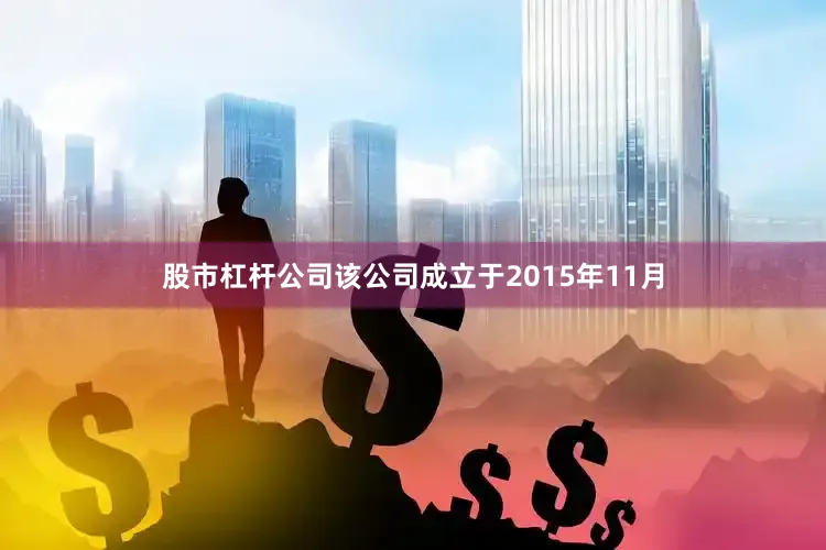 股市杠杆公司该公司成立于2015年11月