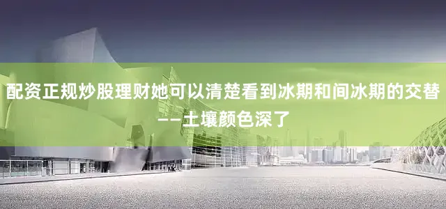 配资正规炒股理财她可以清楚看到冰期和间冰期的交替——土壤颜色深了