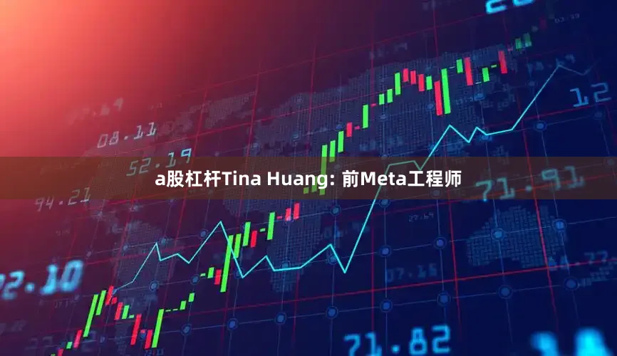 a股杠杆Tina Huang: 前Meta工程师