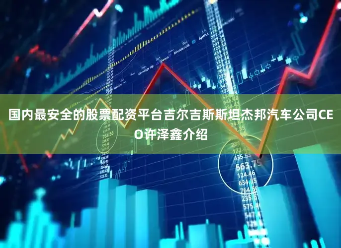 国内最安全的股票配资平台吉尔吉斯斯坦杰邦汽车公司CEO许泽鑫介绍