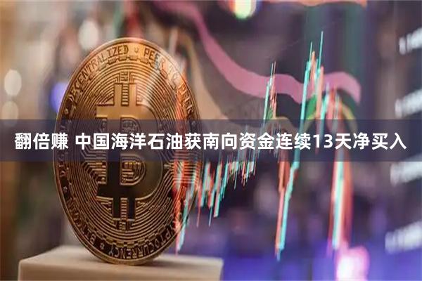 翻倍赚 中国海洋石油获南向资金连续13天净买入